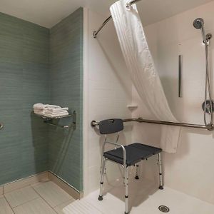 King Room Disability Access Roll Shower Non-Smoking